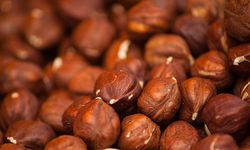Fındık ihracatından 1,4 milyarlık gelir