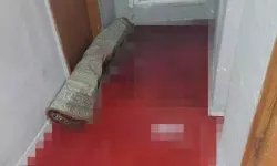 Şaşkına çeviren görüntü! 2 evi kan bastı