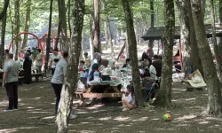İstanbullular bayramın 2. gününde Belgrad Ormanı'na akın etti
