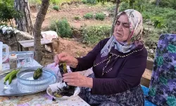 Osmaniye'de sıcaktan bunalanlar Zorkun Yaylası'nda serinledi