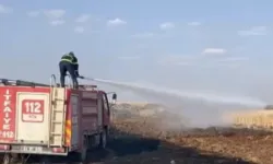 Şanlıurfa'da buğday tarlası küle döndü