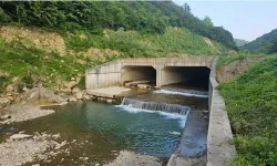 Bartın’da serinlemek için ırmağa girdi, boğularak can verdi