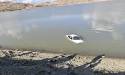 Van'da gölete uçan otomobildeki 2 kişi yaralandı