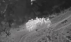 Kaybolan 27 küçükbaş termal dronla bulundu