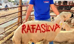 Rafa Silva sevgisi: Kurbanlıklara adını yazdılar...