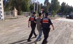 İzmir'de orman yangınına neden olan şüpheli tutuklandı