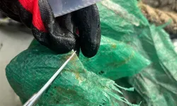 Karadeniz'de plastikler üzerinde yaşayan 55 tür mikroorganizma tespit edildi