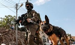 Avrupa'dan İsrail'e bir başka silah desteği: Saldırı köpekleri