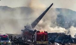 30 saniyede düşen Air India uçağının kazasına ne yol açmış olabilir?