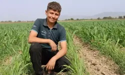 14 yaşında 300 dönümlük arazinin patronu