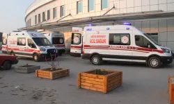 Kayıp kurbanlığı arayan besici canından oldu