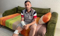 Mersin'de başıboş köpeklerin saldırdığı kişi yaralandı