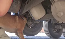 Şırnak'ta araçtaki zehiri köpek Hektor buldu