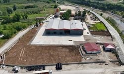 Ordu'da fındık kabuğundan aktif karbon üretecek tesis bölge ekonomisine güç katacak