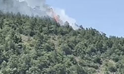 Ankara'da orman yangını