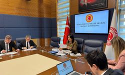 TBMM Dilekçe Komisyonu'na ilginç başvurular