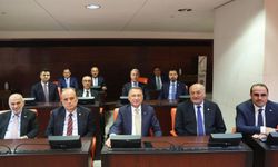 Tarihi İklim Kanunu'nda iki madde daha kabul edildi