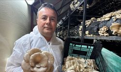Mutfak masrafını karşılamak için kurduğu tesiste yıllık 36 ton mantar üretiyor