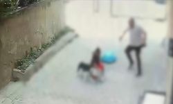 İstanbul'da pitbull cinsi köpeğin saldırdığı çocuk yaralandı