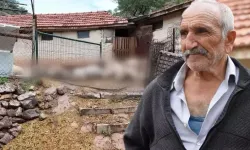 Bir gecede hepsi yok oldu! Canavar geldi, hepsini kırdı geçti