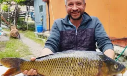 Tapulu tarlasında 7 kiloluk sazan yakaladı