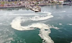 Marmara Denizi'nde müsilaj tehdidi: 2021'deki tablo geri dönebilir