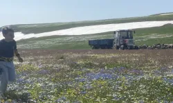 Burası Türkiye! Bir yanda kar, bir yanda yaz