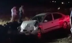Şanlıurfa'da kontrolden çıkan otomobil taşlara çarptı: 2 yaralı