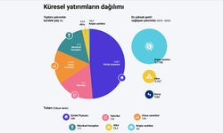 Yatırımcıların gözdeleri gelecek yıllarda nasıl değişecek?