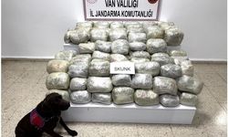 Van'da uyuşturucu operasyonu: 70 kilo skunk ele geçirildi