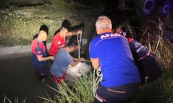 Otomobil sulama kanalına düştü: Boğularak hayatını kaybetti