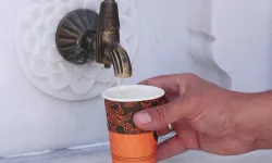 Camideki çeşmeden su yerine limonata akıyor