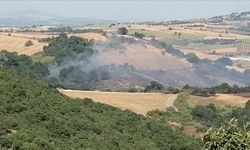Balıkesir'de arazi yangını: Müdahale ediliyor