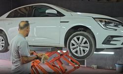 Otomobilin motor bölümüne giren kedi 3 şehir gezdi