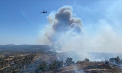 Çanakkale'de orman yangını: Müdahale ediliyor