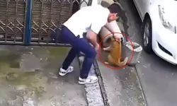 Şoke eden görüntü! Sevmek bahanesiyle kediye yaklaştı