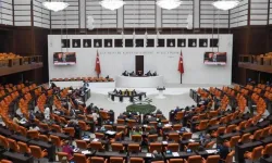Zeytinlik teklifinin 8 maddesi daha kabul edildi