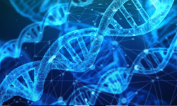 Bilim, insanı yeniden yazıyor! İşte sentetik DNA dönemi…