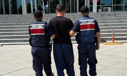 Mersin'de orman yangınıyla ilgili gözaltına alınan zanlı tutuklandı