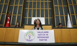 DEM Parti'nin ismi değişecek mi? Sonbaharda yapılacak kongrede kapsamlı değişim bekleniyor