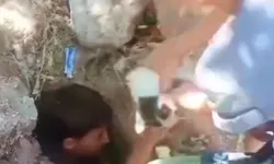 Ağrı'da mahsur kalan kedinin imdadına çocuklar yetişti