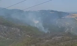 Balıkesir'deki orman yangınına müdahale sürüyor