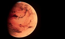 Mars'tan gelen ve dünyaya düşen en büyük gök taşı 5,3 milyon dolara satıldı