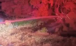 Adıyaman'da 600 dönümlük ormanlık alan küle döndü