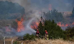İzmir Valisi son durumu açıkladı: Yangın otobanın olduğu noktada sıkıştırıldı