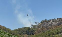 Antalya'daki orman yangınlarında 52 hektarlık alan zarar gördü