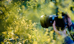 Rüyada fotoğraf çekmek ne demek? Rüyada fotoğraf çekmenin psikolojik anlamları...