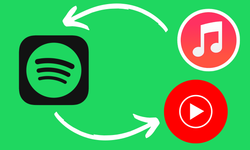 Spotify Türkiye çıkmazı! Spotify müzik listeleri nasıl yedeklenir, başka uygulamaya aktarılır?
