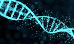 Bilim insanları 24 milyon yıllık gergedan fosilinden protein çıkardı