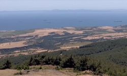 Tekirdağ'da orman yangınının neden olduğu tahribat havadan görüntülendi